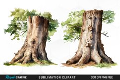 Tree Trunk Illustration PNG Clipart Product Image 1