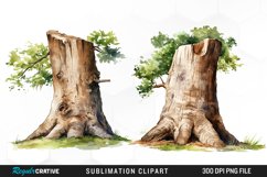 Tree Trunk Illustration PNG Clipart Product Image 1