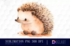 Watercolor Cute Hedgehog Clipart, Illustration PNG Product Image 1