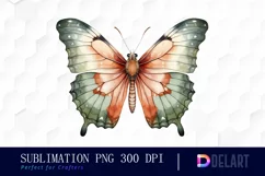 Watercolor Sage Green Butterfly Clipart, PNG Product Image 1