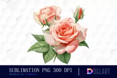 Watercolor Coral Rose Clipart, Illustration PNG Product Image 1