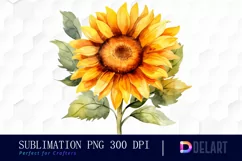 Watercolor Sunflower Vivid Colors Sublimation Clipart Product Image 1