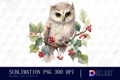 Watercolor Christmas Woodland Animal Clipart, PNG Set Product Image 1