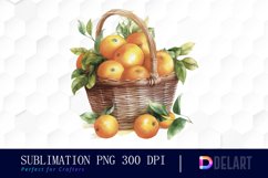 Watercolor Orange Summer Clipart set Product Image 1