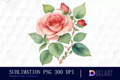 Watercolor Rose Girl PNG Clipart Product Image 1