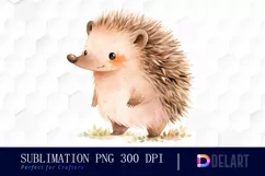 Watercolor Cute Hedgehog Clipart, Illustration PNG Product Image 1