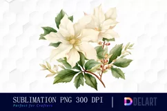 Watercolor White Poinsettia Christmas Clipart Design Product Image 1
