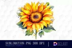 Watercolor Sunflower Vivid Colors Clipart Design Product Image 1