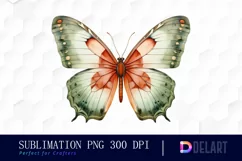 Watercolor Sage Green Butterfly Clipart, PNG Product Image 1