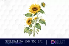 Watercolor Sunflower Arrangement PNG Clipart Product Image 1