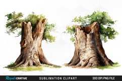 Tree Trunk Illustration PNG Clipart Product Image 1