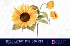 Watercolor Cat with Sunflower PNG Clipart Product Image 1