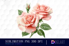 Watercolor Coral Rose Clipart, Sublimation Art Product Image 1