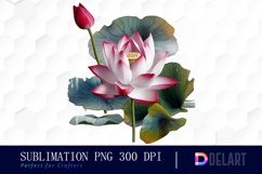 Lotus Flowers Watercolor Clipart Product Image 1