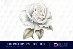 Watercolor White and Silver Rose PNG Clipart Product Image 1
