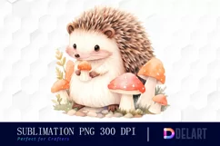 Watercolor Cute Hedgehog Clipart, Illustration PNG Product Image 1