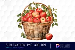 Watercolor Summer Apple Exquisite Clipart Product Image 1