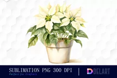 Watercolor White Poinsettia Christmas Clipart Image Product Image 1
