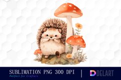 Watercolor Cute Hedgehog Clipart, Illustration PNG Product Image 1