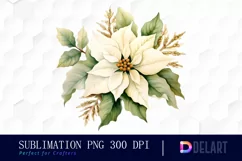 Watercolor White Poinsettia Christmas Sublimation Graphics Product Image 1