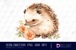 Watercolor Cute Hedgehog Clipart, Illustration PNG Product Image 1