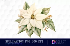 Watercolor White Poinsettia Christmas Clipart Fun Product Image 1