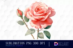 Watercolor Coral Rose Clipart, Sublimation Art Product Image 1