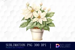 Watercolor White Poinsettia Christmas Clipart Image Product Image 1