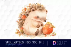 Watercolor Cute Hedgehog Clipart, Illustration PNG Product Image 1