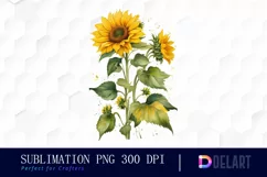 Watercolor Sunflower Arrangement PNG Clipart Product Image 1
