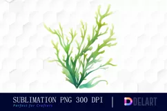 Watercolor Sea Animal Clipart, Sublimation Art Product Image 1