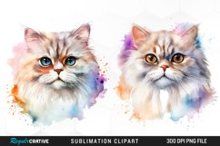 Watercolor Persian Cat Art Clipart Product Image 1