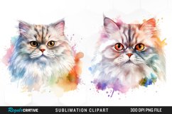 Watercolor Persian Cat Art Clipart Product Image 1
