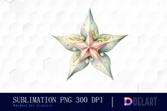 Watercolor Pastel Christmas Star Clipart, PNG Product Image 1