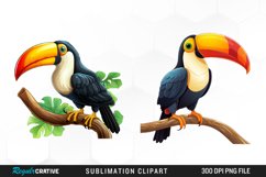 Cute Cartoon Toucan PNG Clipart Product Image 1