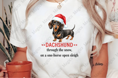 Christmas Dog Pun Dachshund Sublimation Product Image 2