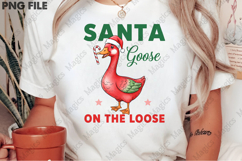 Funny Sarcastic Christmas Goose PNG Product Image 2