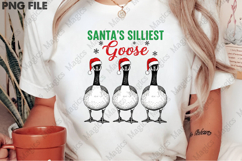 Hand Drawn Christmas Farm Goose PNG Product Image 2