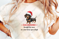 Christmas Dog Pun Dachshund Sublimation Product Image 4