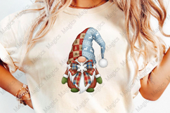Christmas Gnome PNG Christmas Patchwork Product Image 4