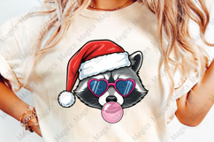 Christmas Raccoon Png, Santa Raccoon Png Product Image 4