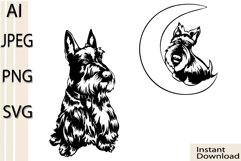 Scottish Terrier Bandle Svg/Png/Jpg/Ai/Vector purebred breed Product Image 1