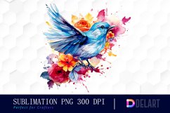 Watercolor Summer Bird Exquisite Clipart Product Image 1