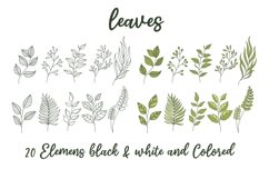 20 Leavess, clipart, png, svg, sublimation Product Image 1