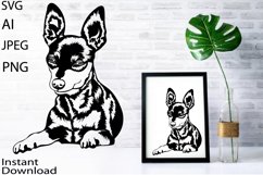 Dwarf Pinscher/Dog Svg/Png/Jpg/Ai/Vector purebred breed Product Image 1