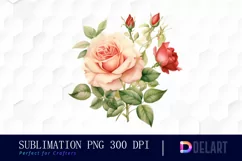 Watercolor Vintage Valentine Rose Clipart, Sublimation Art Product Image 1