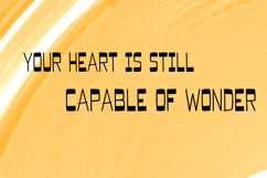 LUCY Product Image 3