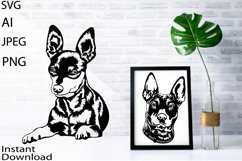 Dwarf Pinscher Bandle Svg/Dog Svg/Png/Jpg/Ai/Vector breed Product Image 1