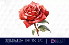 Watercolor Valentine Red Roses Clipart, Illustration PNG Product Image 1