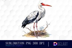 Stork Bird Watercolor Sublimation Clipart Product Image 1